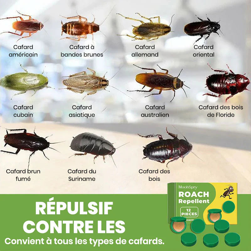 Répulsif contre les cafards