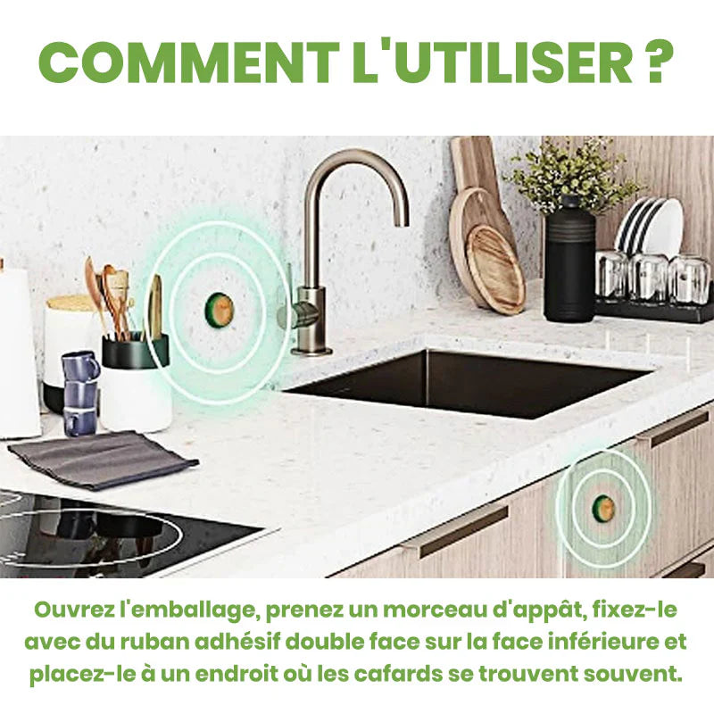 Répulsif contre les cafards