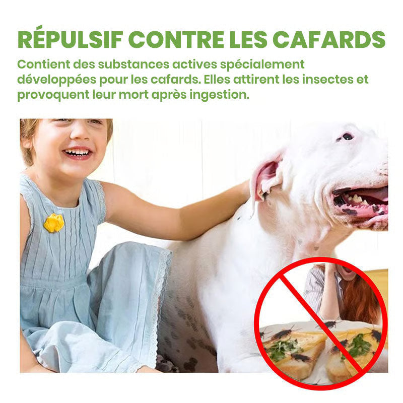 Répulsif contre les cafards
